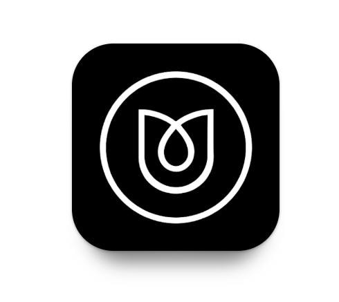 App Development